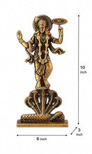 Idol: Lord Vishnu Car Dashboard