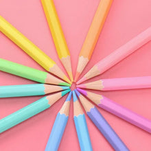 Pencil: Premium Pastel Artist Pencil Set – 12 pcs