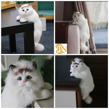 Cat: Cute Hanging Cat Decor for Desk & Table