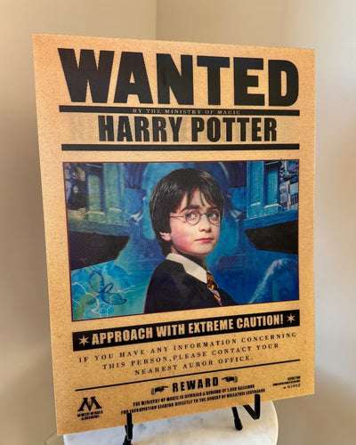 Poster: H@RRY P0TTER Wanted 3D