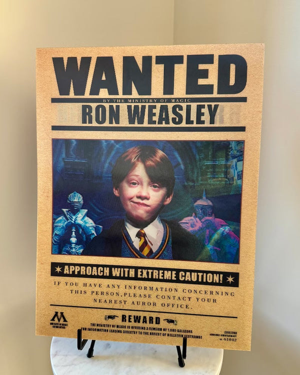 Poster: H@RRY P0TTER Wanted 3D